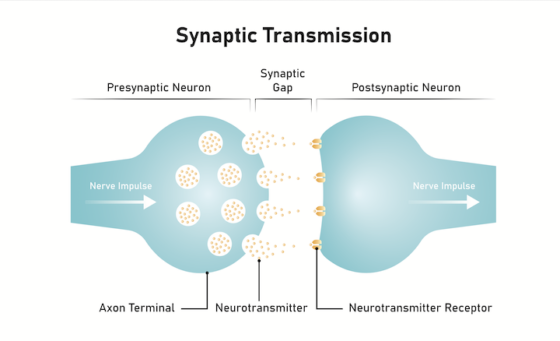 AI Safety: Why LLMs Benchmarks or Evaluations May Not Decide Alignment, AGI Screen Shot 2024 07 03 at 10.27.39 AM