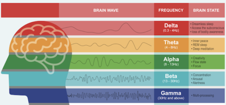 Theoretical Neuroscience: Predictive Coding of Sleep, Dreams, Loneliness and AI