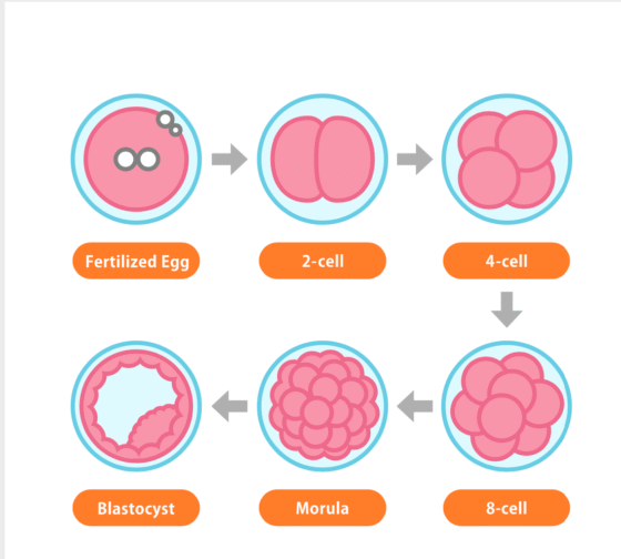 Screen Shot 2025 04 24 at 7.20.49 PM