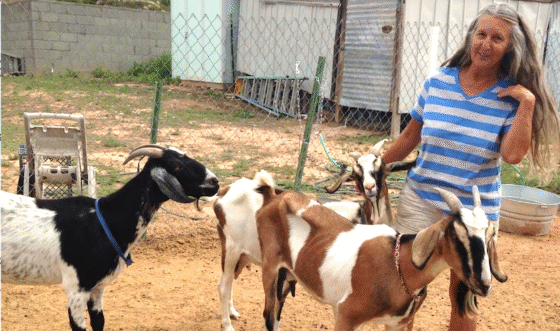 Sedona Heritage Museum Presents September Monday at the Museum Programs Screenshot 2025 08 13 at 9.31.59 AM