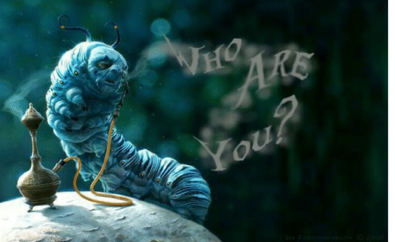 Screenshot 2025 11 30 at 10.12.37 AM