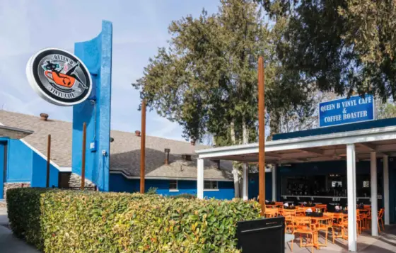 Queen B Vinyl Cafe in Cottonwood hosting Puscifer listening party