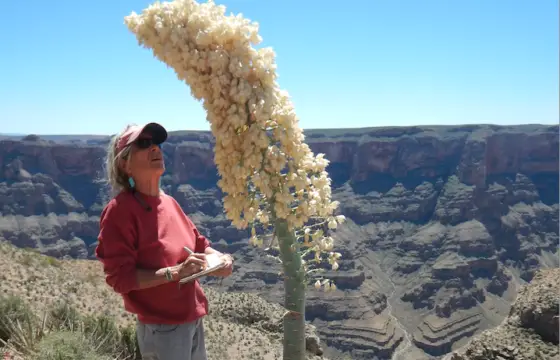 Wendy Hodgson, Senior Research Botanist – Desert Botanical Garden,  Featured at KSB Speaker Series on Wednesday, March 18, 20