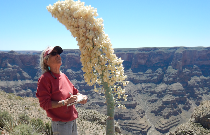 Wendy Hodgson, Senior Research Botanist – Desert Botanical Garden,  Featured at KSB Speaker Series on Wednesday, March 18, 2026