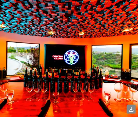 Arizona Wine Month (March) Spotlight: Merkin Vineyards & Caduceus Cellars