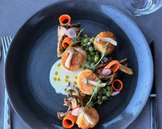 Forty1 at Ambiente Unveils Vibrant New Spring Menu Rooted in the Flavors of Sedona