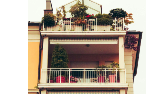 How to Grow Thriving Urban Gardens for Food, Community, and Sustainability