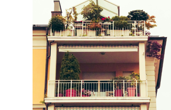How to Grow Thriving Urban Gardens for Food, Community, and Sustainability