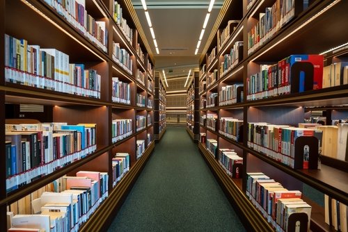 LLMs: Neglecting human intelligence, Bernie Sanders submits UBI-type AI SWF bill