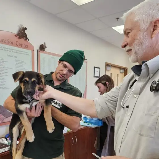Humane Society of Sedona to Host Community Pet Vaccine & Microchip Clinic for Limited-Income Families