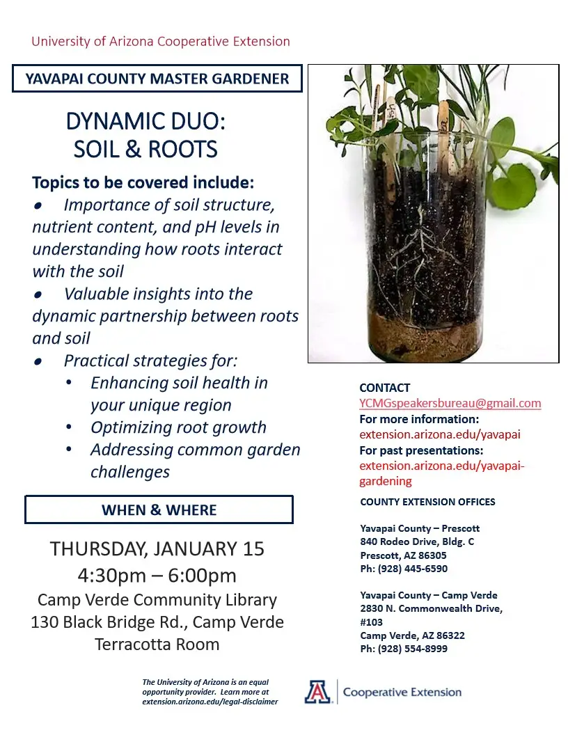 Soil and Roots flyer CampVerde 1 1