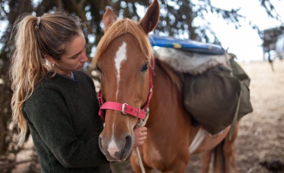 The Road To Patagonia 3