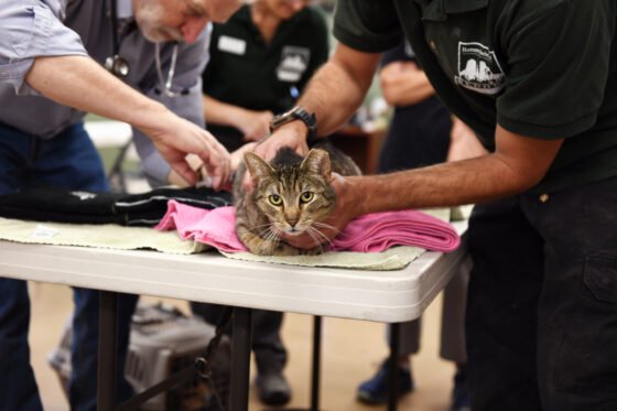 Humane Society of Sedona to Host Community Pet Vaccine & Microchip Clinic for Limited-Income Families Humane Society of Sedona to Host Community Pet Vaccine & Microchip Clinic for Limited-Income Families