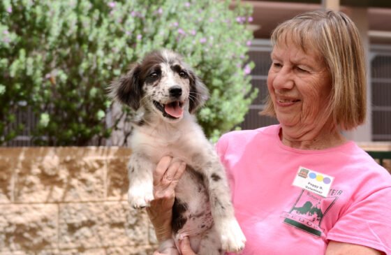 Humane Society of Sedona Celebrates 60 Years of Saving Lives with Community Open House Volunteer Peggy Bishop with Lil Bub
