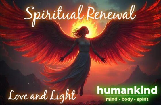 article graphic 788x515 11 10 24