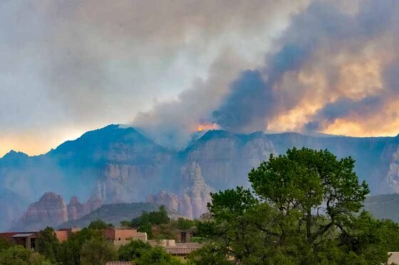 Friends of the Forest Needs You! fire near sedona