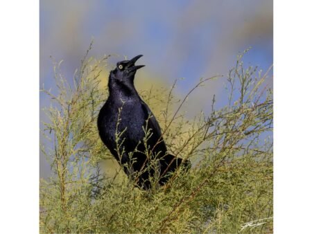 Today’s Photo from Ted Grussing Photography: Remembering Fearless Fosdick Today’s Photo from Ted Grussing Photography: Remembering Fearless Fosdick