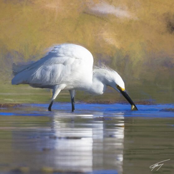 Today’s Photo from Ted Grussing Photography: … all life forms need it … food! grussiing 20240429a