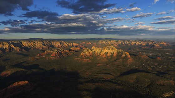 Today’s Photo From Ted Grussing Photography: I Flew … He Perched grussing 10111005a
