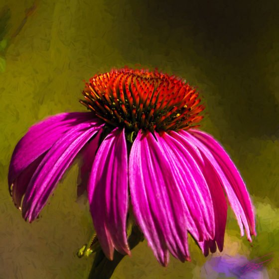 Today’s Photo from Ted Grussing Photography: Timeless … grussing 20210920a