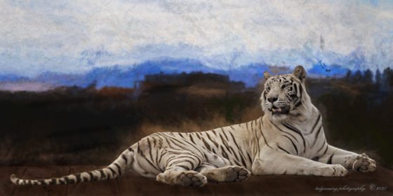 Today’s Photo from Ted Grussing Photography: One’s Choice grussing 20211027a