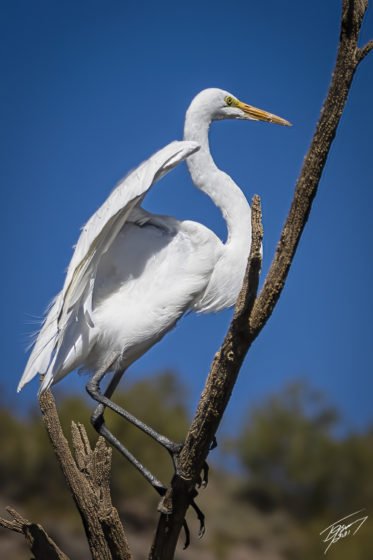 grussing 20211102a 3