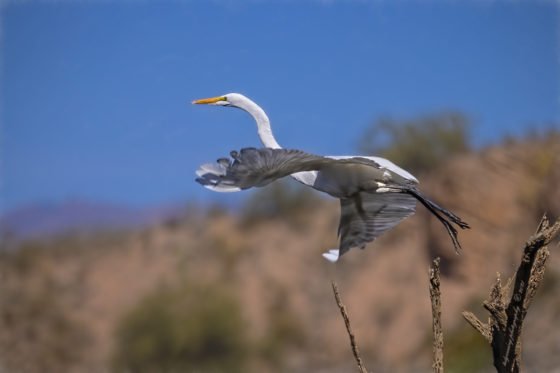 Today’s Photo from Ted Grussing Photography: Ignition Plus One grussing 20211111