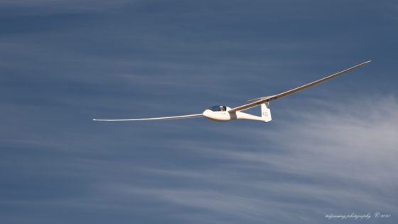 Today’s Photo from Ted Grussing Photography: Freedom of Flight grussing 20211207a