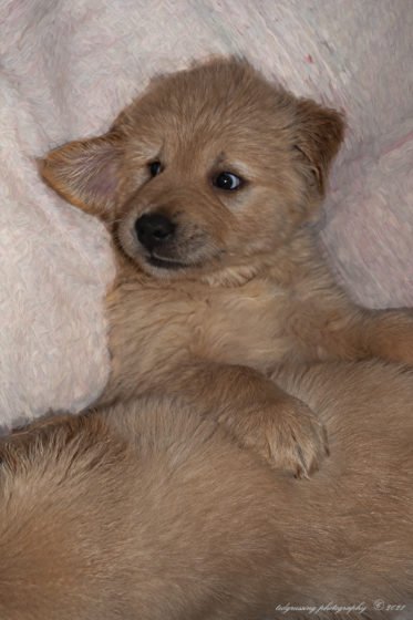 grussing 20211228aFB