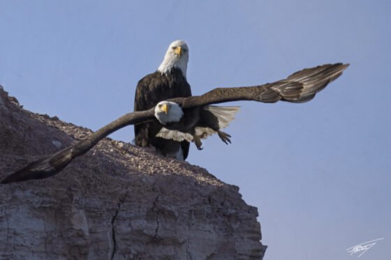 Today’s Photo from Ted Grussing Photography: Very Cool x3 grussing 20220201a