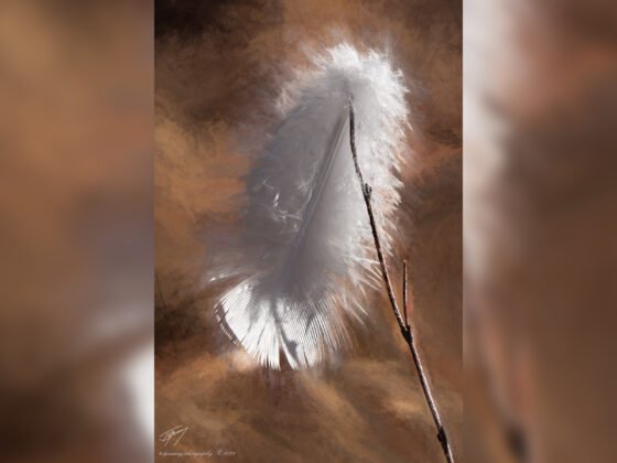 Today’s Photo from Ted Grussing Photography: With Joy 2 grussing 20220310a