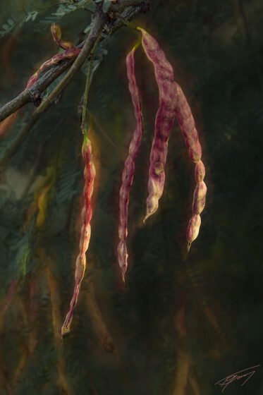 Today’s Photo from Ted Grussing Photography: A Change of Pace grussing 20220329a