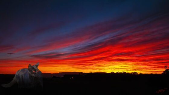Today’s Photo from Ted Grussing Photography: She Returns From Out of The Dark grussing 20220330a