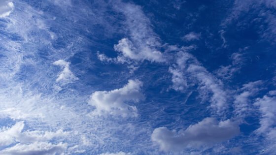 Today’s Photo from Ted Grussing Photography: Since We Were Kids … grussing 20220412a