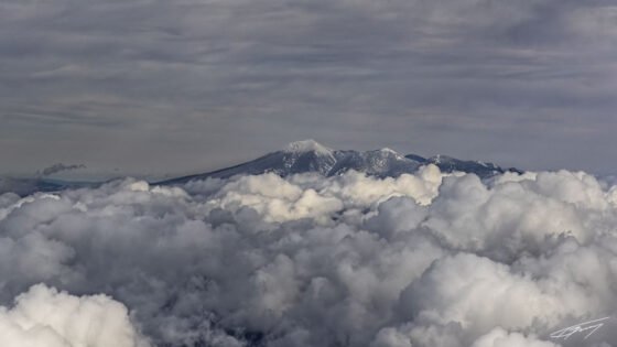 Today’s Photo from Ted Grussing Photography: Moods of All Kinds grussing 20220414a