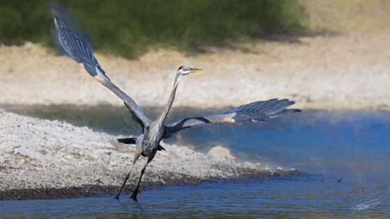 Today’s Photo from Ted Grussing Photography: Reaching for The Sky grussing 20220504a