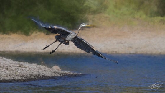 Today’s Photo from Ted Grussing Photography: All That Is Needed for Castles and Dreams grussing 20220519a