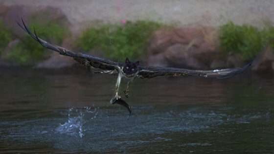 Today’s Photo from Ted Grussing Photography: Here the Mystical and Magical Occurs for Sedona grussing 20220531a