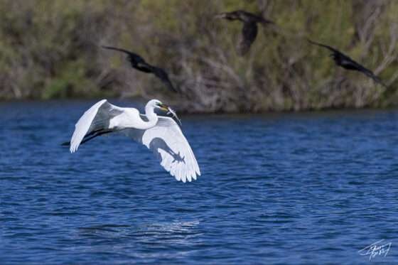 Today’s Photo from Ted Grussing Photography: When You Want to Know, Ask a Pro grussing 20220602a