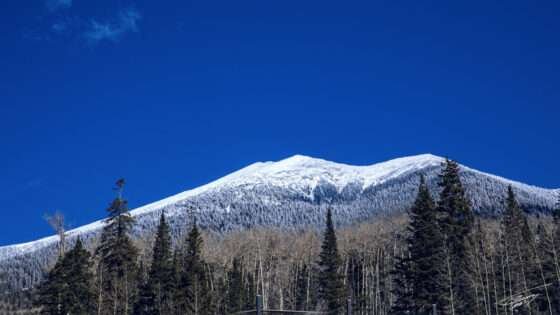 Today’s Photo from Ted Grussing Photography: It Is Warm Here and Time to Chill Out grussing 20220609a