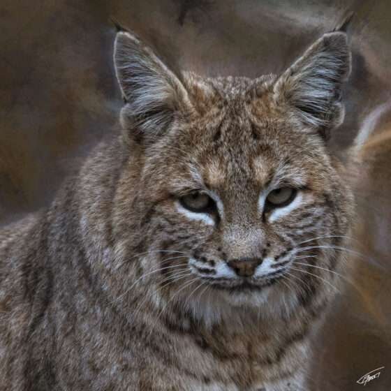 Today’s Photo From Ted Grussing Photography: Today … We Continue to Travel in Time II grussing 20220616a