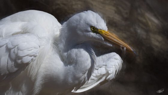 Today’s Photo From Ted Grussing Photography: Are Creatures In The Wild Capable Of Jealousy grussing 20220818a