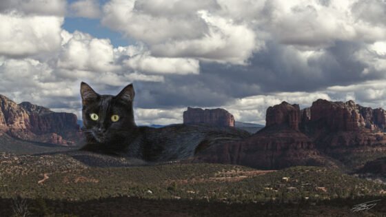 Today’s Photo From Ted Grussing Photography: She is Young and Still Learning – My Apologies grussing 20220829a