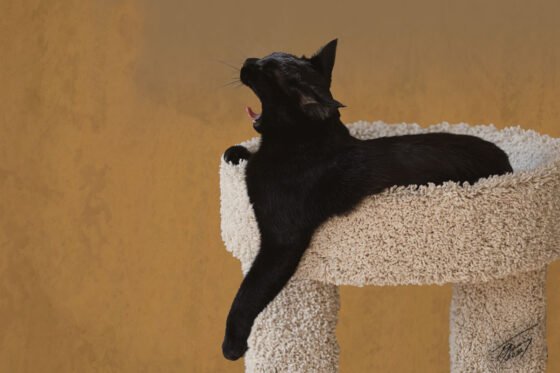 Today’s Photo From Ted Grussing Photography: Wild and Domestic Life as Art Forms grussing 20220831a