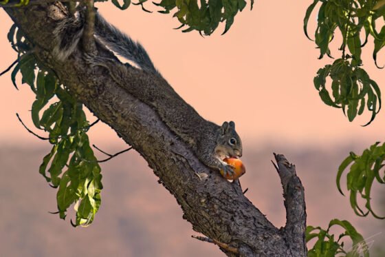 Today’s Photo From Ted Grussing Photography: It’s My Time of Year grussing 20220901a