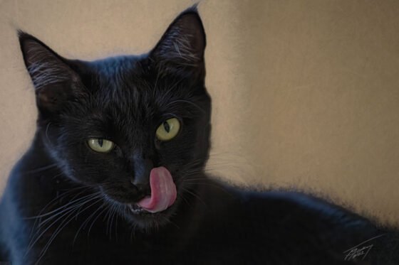 Today’s Photo From Ted Grussing Photography: I Know Where You Sleep grussing 20220905a