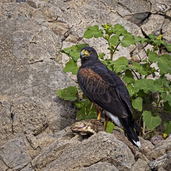 Today’s Photo From Ted Grussing Photography: It Was Fun grussing 20220926a