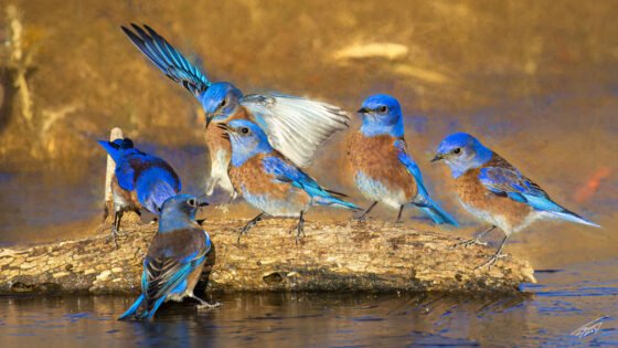 Today’s Photo From Ted Grussing Photography: Back to Normal grussing 20220927a