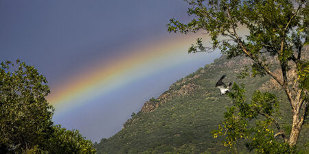 Today’s Photo From Ted Grussing Photography: A Gift and A Distraction