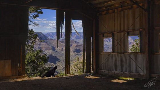 Today’s Photo From Ted Grussing Photography: Life Stories grussing 20221012a